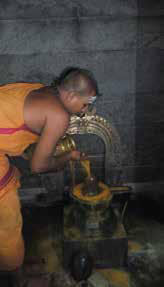 Rituals being offered at the Vedaranyam Aadheenam by a brahmachari of the Sovereign Order of KAILĀSA’s Nithyānanda c